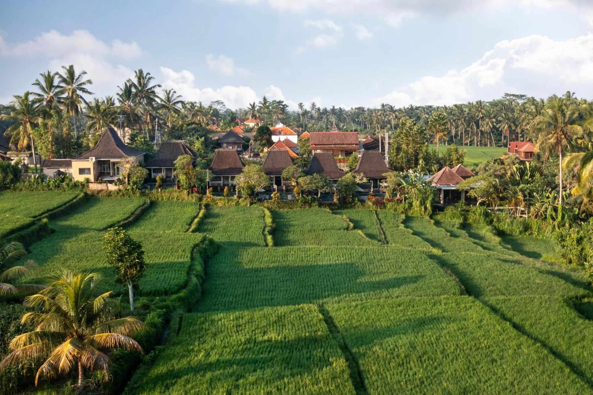 Wooden Ganeca Villas By Pramana Villas Ubud Exterior foto
