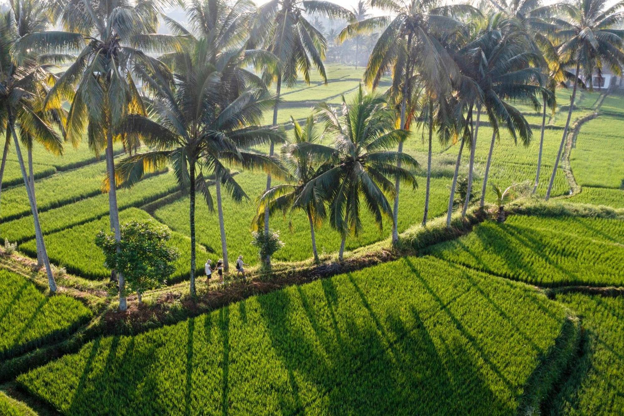 Wooden Ganeca Villas By Pramana Villas Ubud Exterior foto